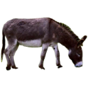 Hawking's Caregivers and His Enduring Love for Women